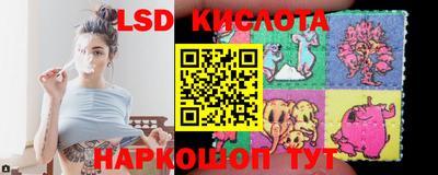 spice Новозыбков