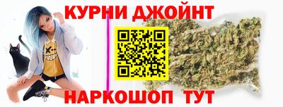 spice Новозыбков
