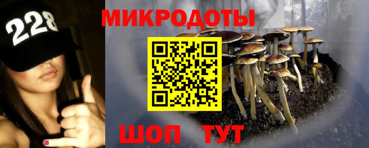 Псилоцибиновые грибы прущие грибы  Вход с VPN  где купить   Соль-Илецк 